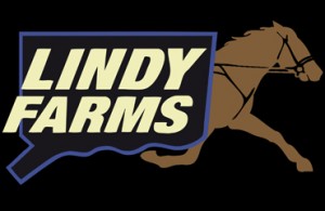 Unnamed Love N Lindy