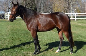 Lifestory Hanover